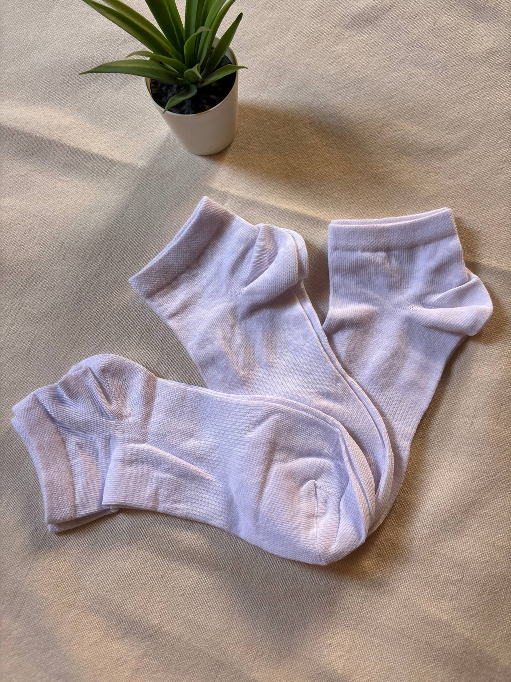 Lucia White Socks
